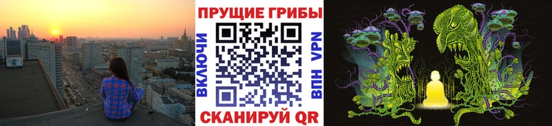 Галлюциногенные грибы прущие грибы  Курильск 